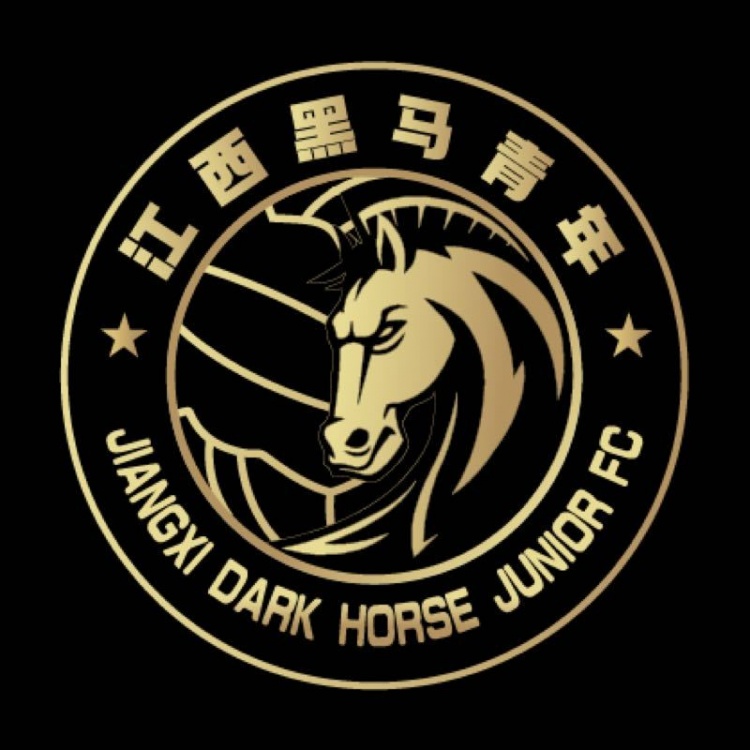  官方：江西黑馬青年完成異地遷移程序，更名為溫州職業(yè)足球俱樂部